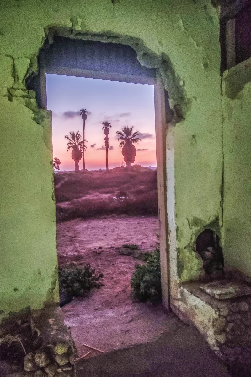 Palm trees at sunset seen through a broken green doorway